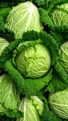 Fototapeta premium Fresh Green Cabbage Display, Texture and Color Contrast, Vibrant Vegetable Pile