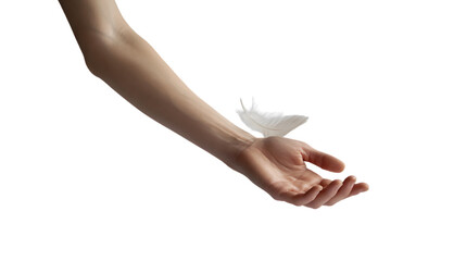 Isolated arm and hand reaching out with a white object on a isolated White background  space