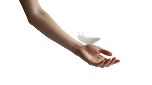 Isolated arm and hand reaching out with a white object on a isolated White background  space