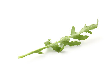 Obraz premium Fresh ripe green arugula leaf isolated on white