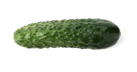 One fresh green cucumber isolated on white