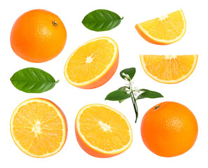 Fresh oranges, green leaves and blossoms isolated on white, set
