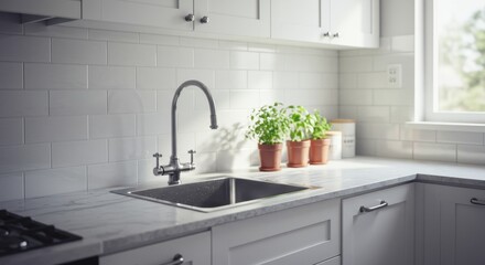 Bright and Modern Kitchen Sink with Fresh Green Plants and Natural Light Streaming In Through the Window