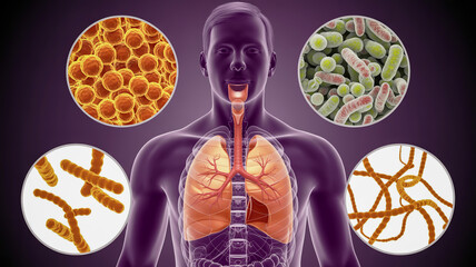 Human respiratory system with four microscopic views of bacteria and viruses human anatomy lungs