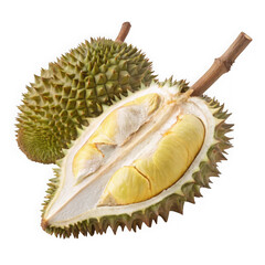 Fototapeta premium Fresh ripe durian fruit cut open showing creamy yellow flesh isolated on transparent background