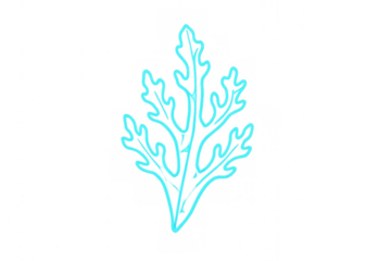 Parsley branch with light blue neon effect, isolated vector illustration on transparent background
