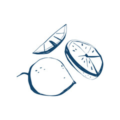 Sliced lemon hand drawn sketch with whole fruit wedge and half cross section isolated on white