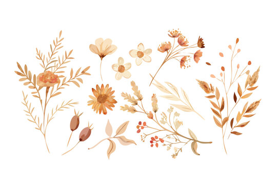 floral 