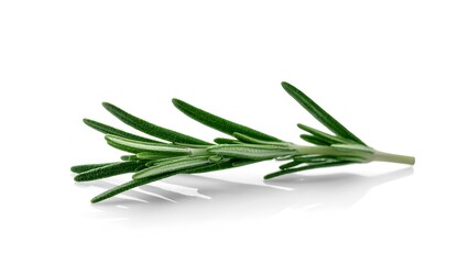 Fototapeta premium Fresh rosemary herb sprig culinary arts gourmet cooking minimalist kitchen close-up flavorful ingredient exploration