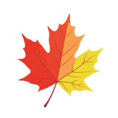 Maple Leaf Autumn Iconic Fall Symbol