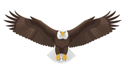 Obraz premium Illustration of an American Bald Eagle Soaring with Wings Extended Against White Backdrop