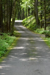 Cades Cove