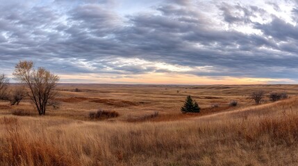 Fototapeta premium Serene Sunset Over the Golden Prairie