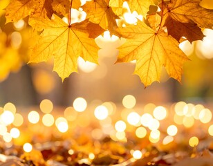 Golden autumn leaves in park