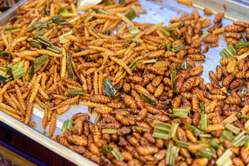 Roasted silk moth pupae at night food market, Chinatown