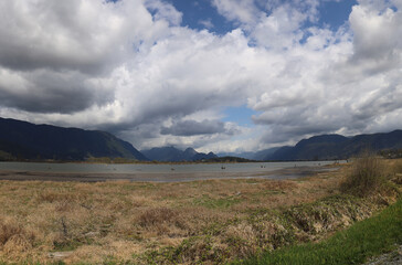 Dry grass and cloudy autumn skies