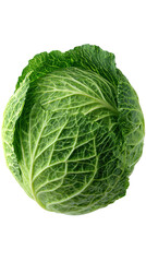 Fresh Cabbage with Realistic Texture on Transparent Background

