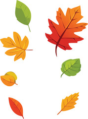 Vector illustration of colorful autumn leaves in red, orange, yellow, and green, ideal for seasonal and fall-themed designs.