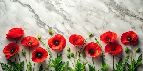 Vibrant Red Poppies Arranged on a Polished Marble Surface, a Stunning Floral Display of Nature's Beauty