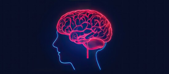 Stylized brain illustration showcasing neurological connections and function