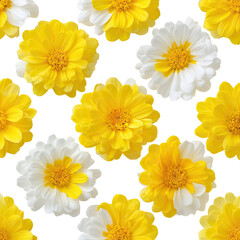 Vibrant Floral Background with Bright Yellow and White Flowers on Black for Stunning Visual Appeal and Design Projects