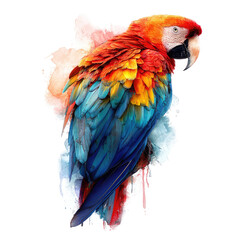 Obraz premium Vibrant parrot in watercolor style