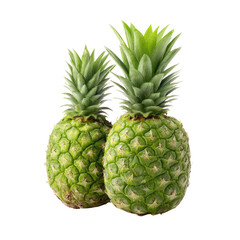 Fototapeta premium Two Fresh Pineapples with Vibrant Green Leaves on White Background for Culinary and Tropical Themes