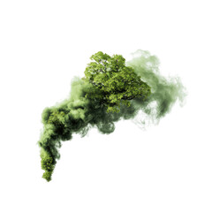 Obraz premium Green tree inside a smoky cloud