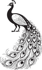 Obraz premium Elegant Peacock Vector – Black and White Line Art with Ornamental Feather Pattern