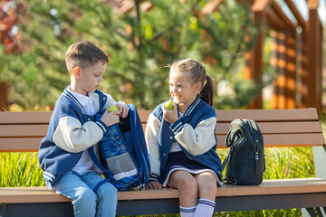 Little school sibling children, boy and girl sitting on bench in school yard and share food during the break. Green apples and water healthy snack. Children friendships and relationships of classmates