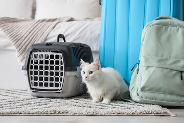 Cute white cat with packed suitcase, pet carrier and backpack on floor in bedroom