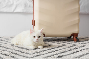 Cute white cat with packed suitcase on floor in bedroom