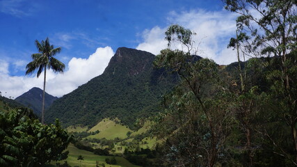 Salento and Cocora Valley, colombia