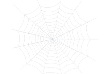 Spider web isolated on transparent background, perfect for adding a spooky touch to halloween projects