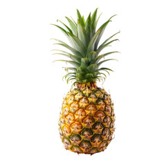 Single pineapple, vibrant yellow and green (11)