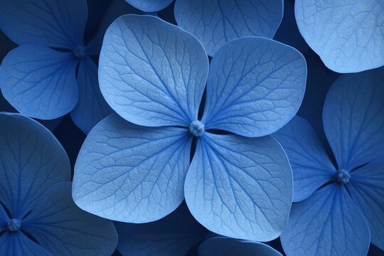 Delicate blue hydrangea petals arranged in artistic composition highlighting natural fragility and botanical beauty