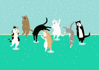 水遊びする7匹の猫