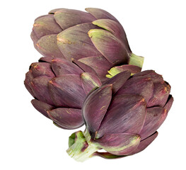 'two purple artichokes isolated on transparent background'