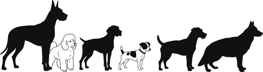 Silhouettes of different dog breeds in lineup, Great Dane, Labrador, Poodle, German Shepherd, cad drawing flat vector illustration