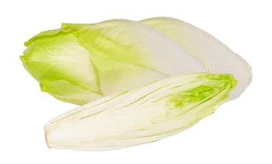 endive heads, cut endive on transparent background.