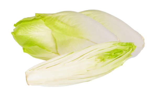 endive heads, cut endive on transparent background.