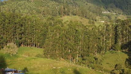 Landscapes with mountains and sky in Salento, Colombia