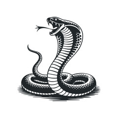 Fototapeta premium Detailed vector illustration of a cobra with a striking pose