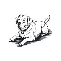 Fototapeta premium Cute hand drawn vector illustration of a playful dog laying down