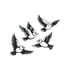 Naklejka premium Hand drawn vector illustration of flying birds soaring in the sky