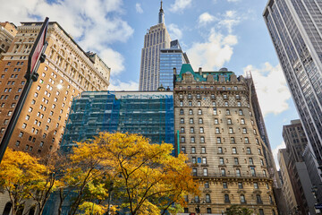 Cityscape of colorful buildings looking up on an autumn day with yellow leaves almost ready to fall off of the trees