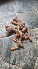 Fresh Organic Turmeric Roots on Stone Surface Healthy Spice Ingredient