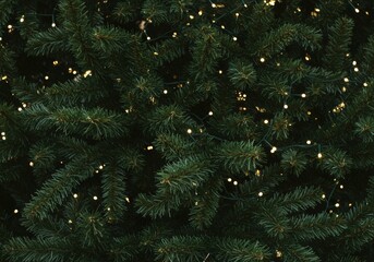 A detailed shot of a Christmas tree adorned with sparkling lights, creating a festive atmosphere.