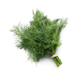 Bunch of fresh green dill on white background