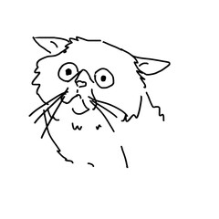 エキゾチックキャット